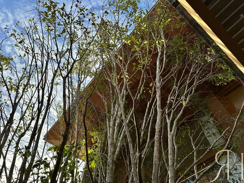 null: 5ª foto da galeria de imagens do imóvel