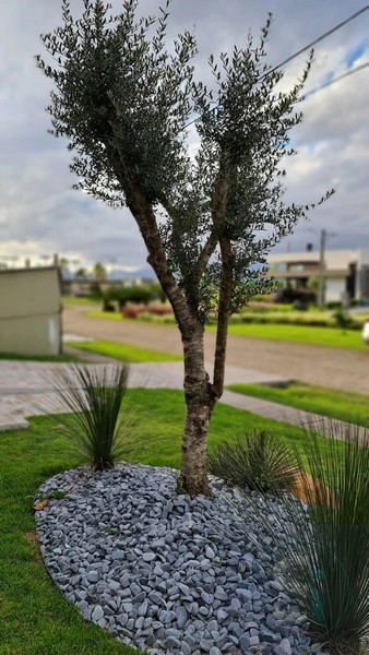 null: 4ª foto da galeria de imagens do imóvel