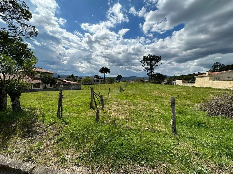 Ótimo Investimento: 7ª foto da galeria de imagens do imóvel