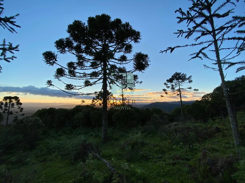 Um Luxo de Terreno: 29ª foto da galeria de imagens do imóvel