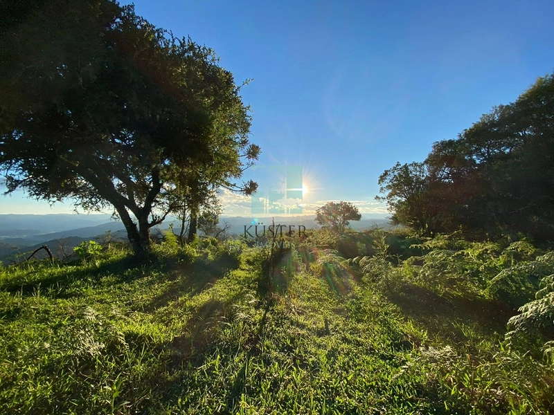 Um Luxo de Terreno: 10ª foto da galeria de imagens do imóvel