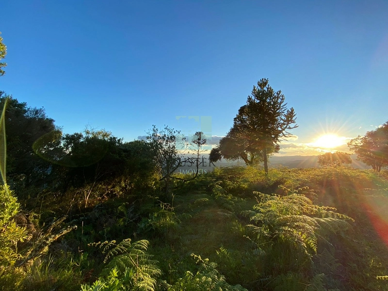 Um Luxo de Terreno: 27ª foto da galeria de imagens do imóvel