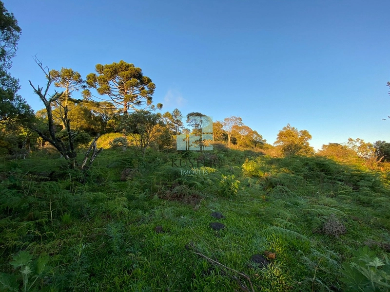 Um Luxo de Terreno: 9ª foto da galeria de imagens do imóvel