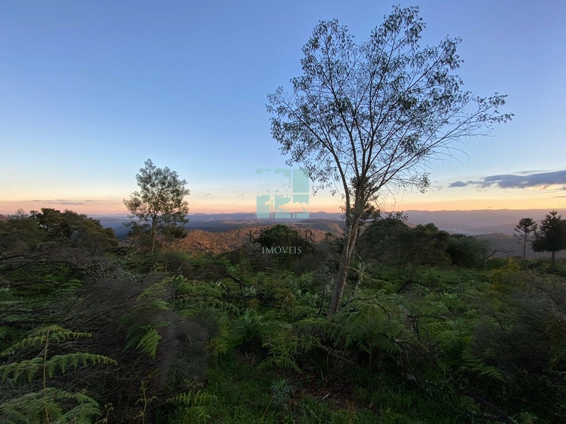 Um Luxo de Terreno: 25ª foto da galeria de imagens do imóvel