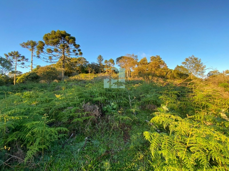 Um Luxo de Terreno: 17ª foto da galeria de imagens do imóvel