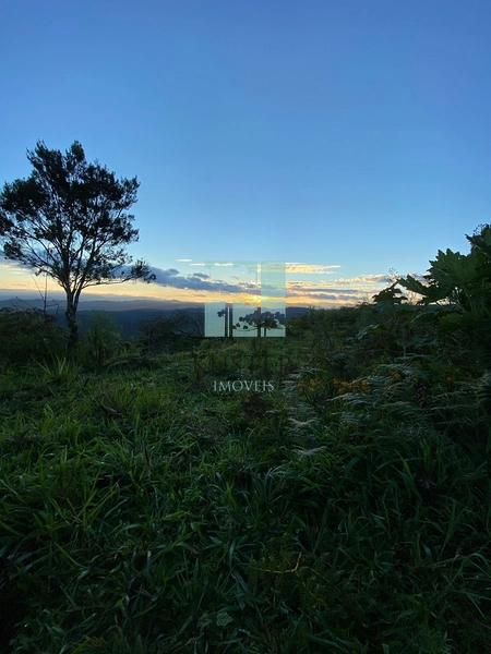 Um Luxo de Terreno: 6ª foto da galeria de imagens do imóvel