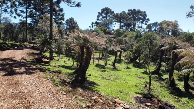 Terreno com Lago: 5ª foto da galeria de imagens do imóvel