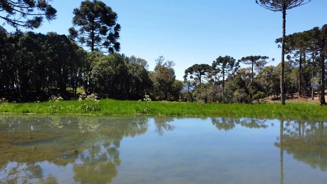 Terreno com Lago: 10ª foto da galeria de imagens do imóvel
