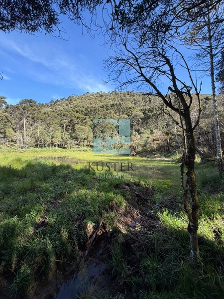 Terreno com Lago: 9ª foto da galeria de imagens do imóvel