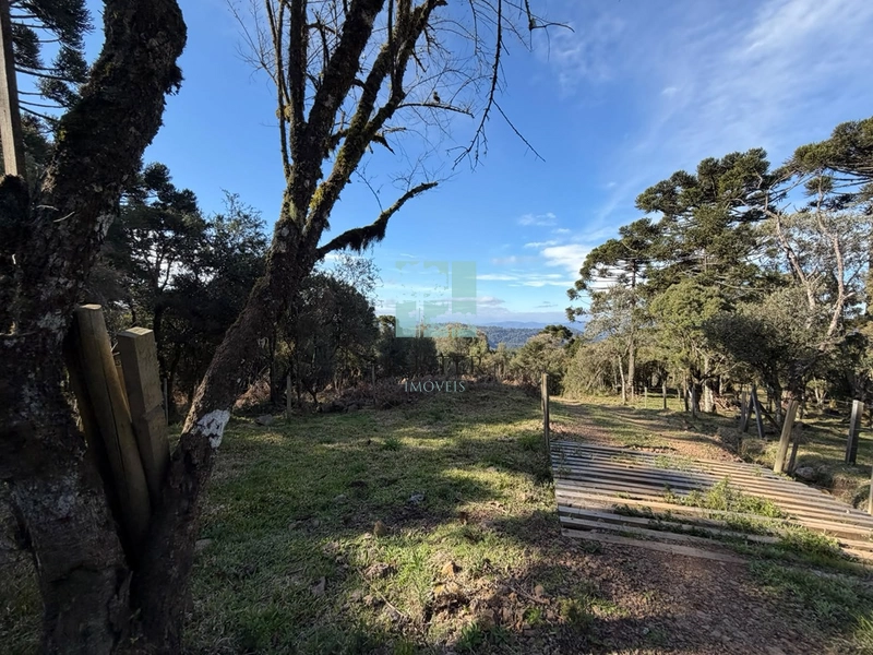 Terreno com Lago: 7ª foto da galeria de imagens do imóvel
