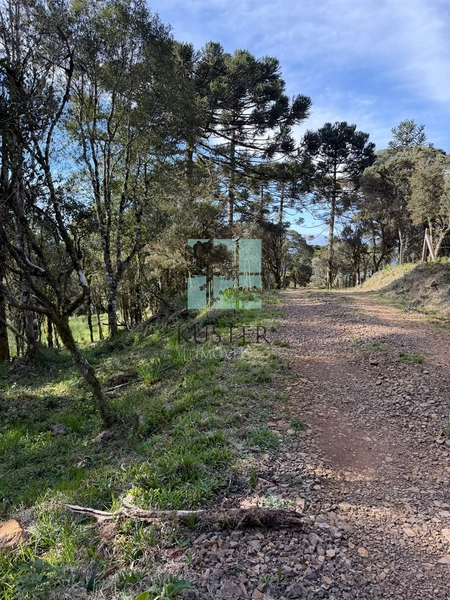 Terreno com Lago: 17ª foto da galeria de imagens do imóvel