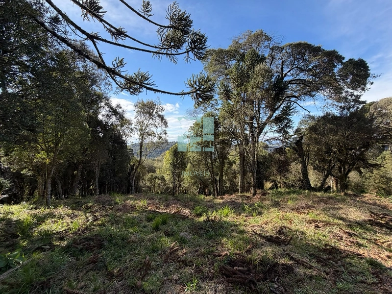 Terreno com Lago: 2ª foto da galeria de imagens do imóvel