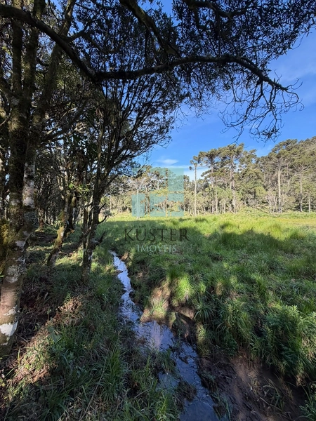 Terreno com Lago: 6ª foto da galeria de imagens do imóvel