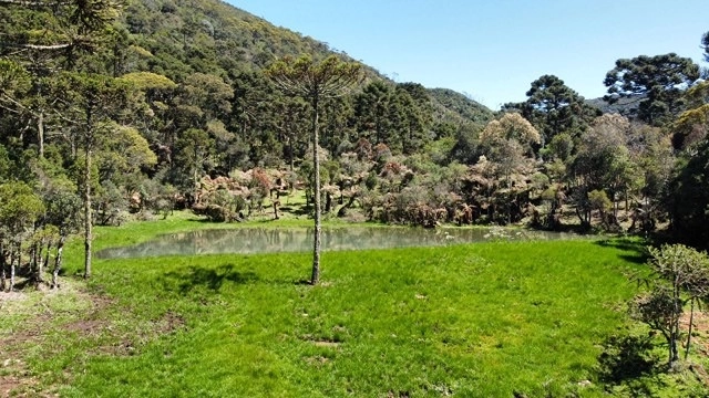 Terreno com Lago: 8ª foto da galeria de imagens do imóvel