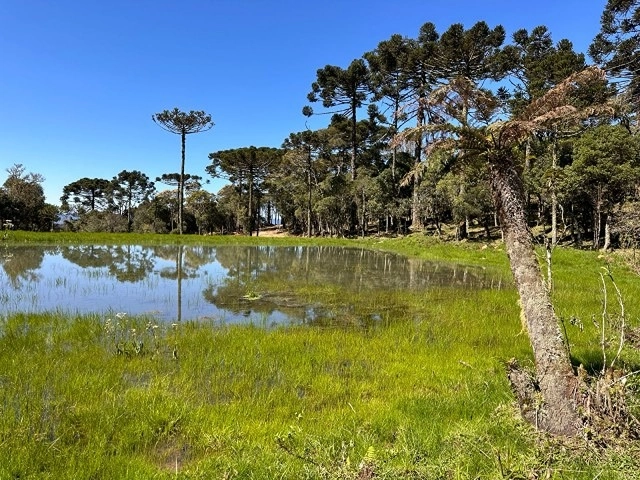 Terreno com Lago: 1ª foto da galeria de imagens do imóvel