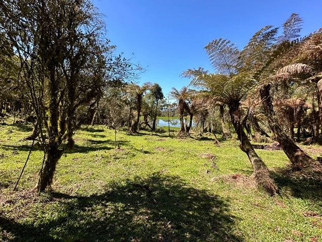 Terreno com Lago: 3ª foto da galeria de imagens do imóvel
