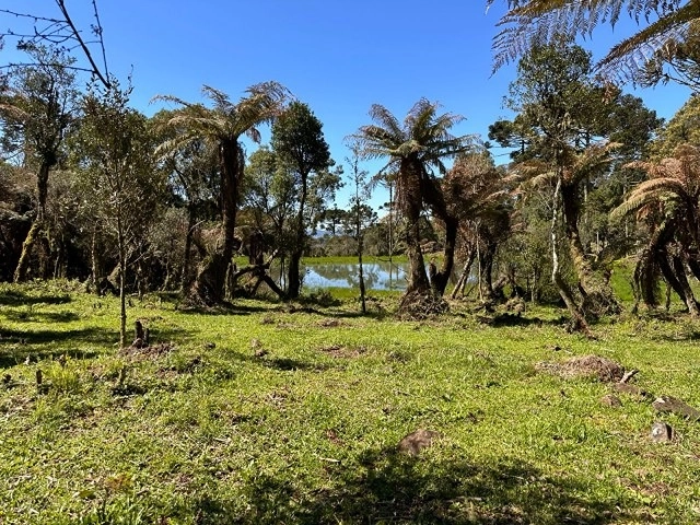 Terreno com Lago: 2ª foto da galeria de imagens do imóvel
