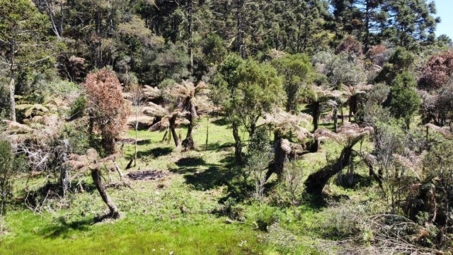 Terreno com Lago: 9ª foto da galeria de imagens do imóvel