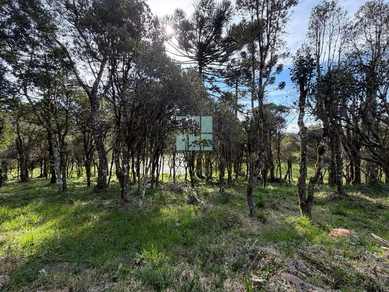 Terreno com Lago: 16ª foto da galeria de imagens do imóvel