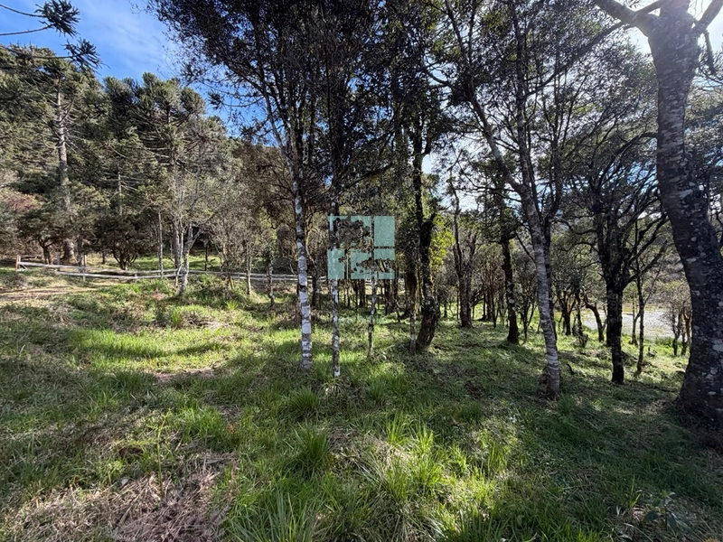 Terreno com Lago: 10ª foto da galeria de imagens do imóvel