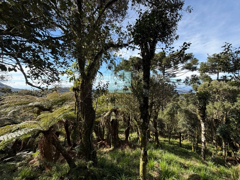 Terreno com Lago: 8ª foto da galeria de imagens do imóvel