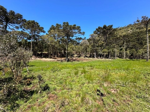 Terreno com Lago: 7ª foto da galeria de imagens do imóvel