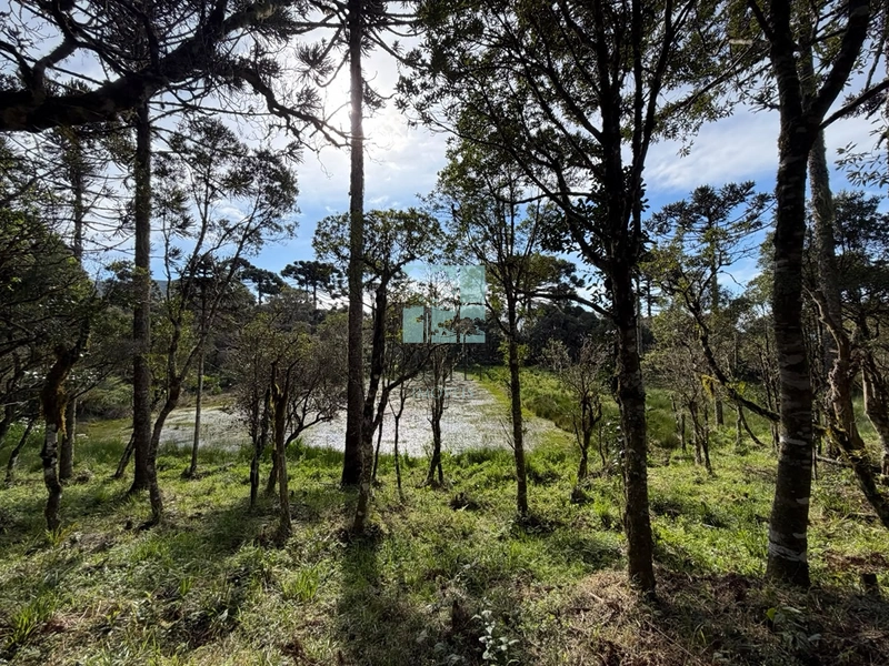 Terreno com Lago: 18ª foto da galeria de imagens do imóvel