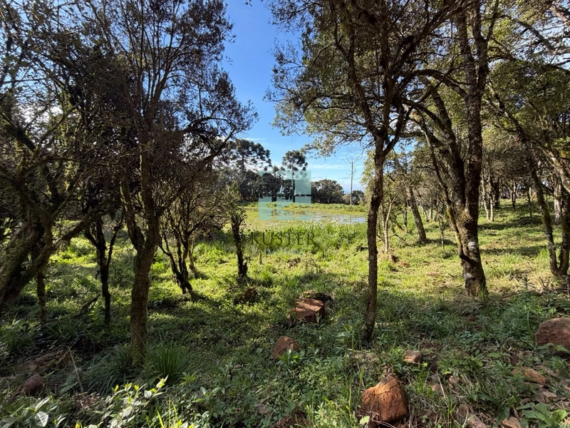 Terreno com Lago: 14ª foto da galeria de imagens do imóvel