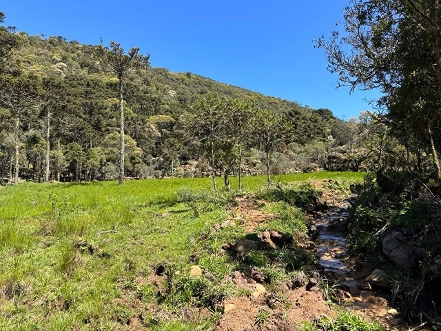 Terreno com Lago: 4ª foto da galeria de imagens do imóvel