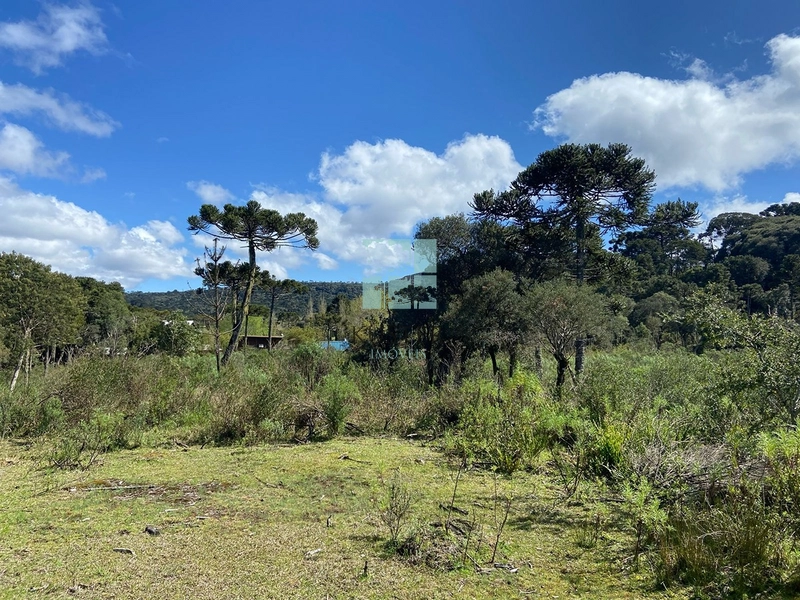 null: 11ª foto da galeria de imagens do imóvel