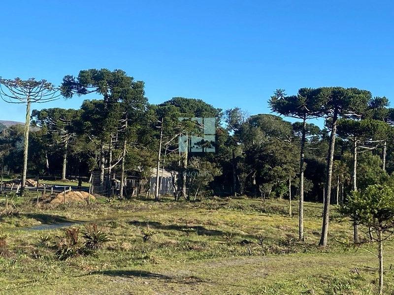 null: 15ª foto da galeria de imagens do imóvel