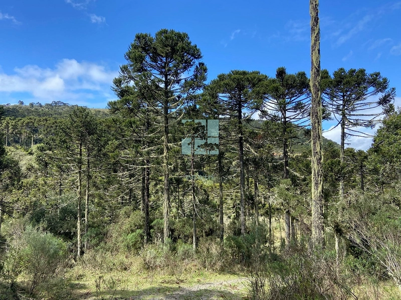 null: 6ª foto da galeria de imagens do imóvel