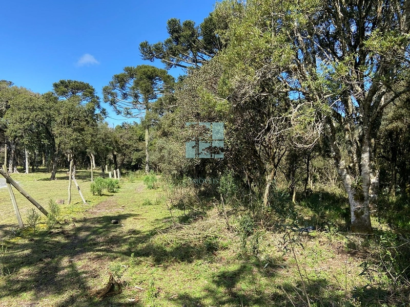 null: 8ª foto da galeria de imagens do imóvel