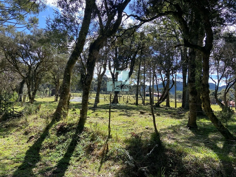 null: 14ª foto da galeria de imagens do imóvel