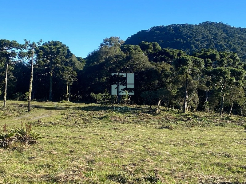 null: 19ª foto da galeria de imagens do imóvel