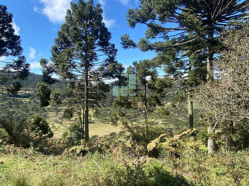 null: 21ª foto da galeria de imagens do imóvel