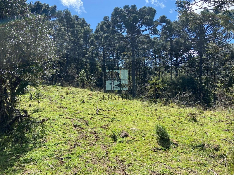 null: 10ª foto da galeria de imagens do imóvel