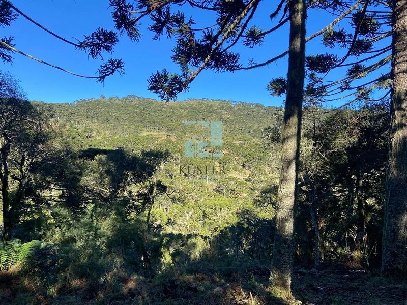 null: 5ª foto da galeria de imagens do imóvel