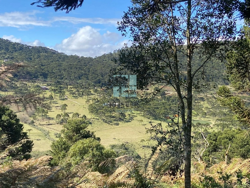 null: 4ª foto da galeria de imagens do imóvel