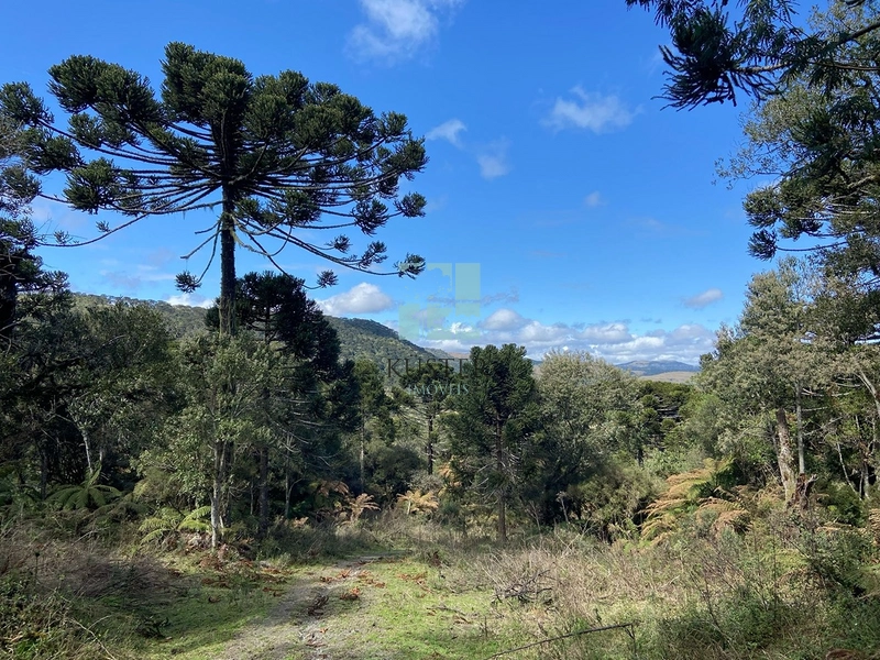 null: 13ª foto da galeria de imagens do imóvel