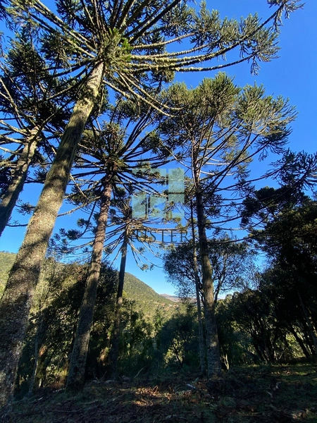 null: 12ª foto da galeria de imagens do imóvel