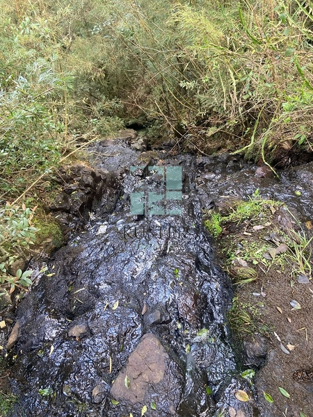 null: 2ª foto da galeria de imagens do imóvel