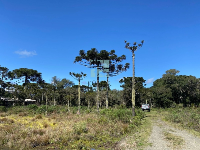 null: 20ª foto da galeria de imagens do imóvel