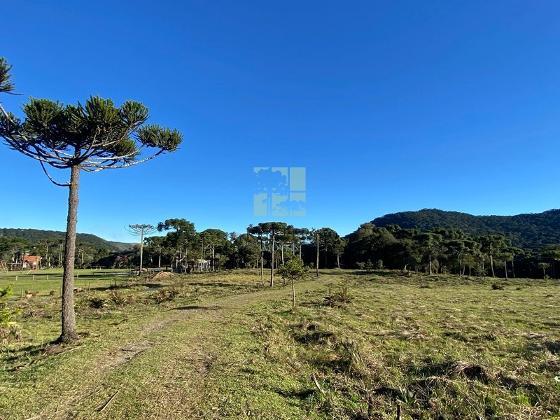 null: 7ª foto da galeria de imagens do imóvel