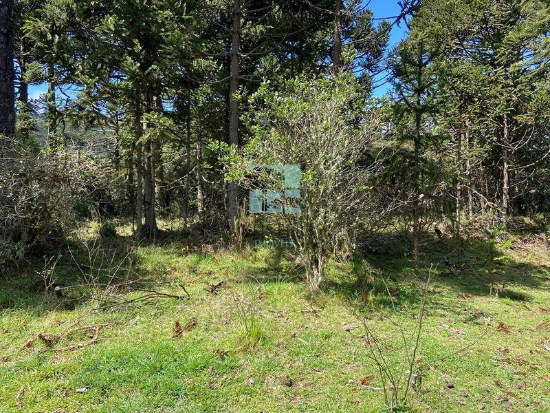 null: 16ª foto da galeria de imagens do imóvel