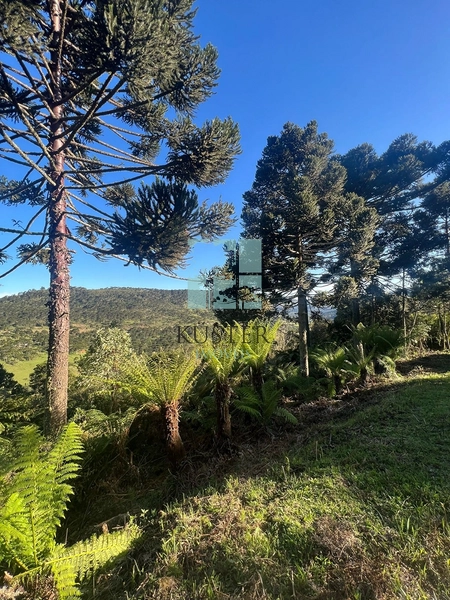 null: 9ª foto da galeria de imagens do imóvel