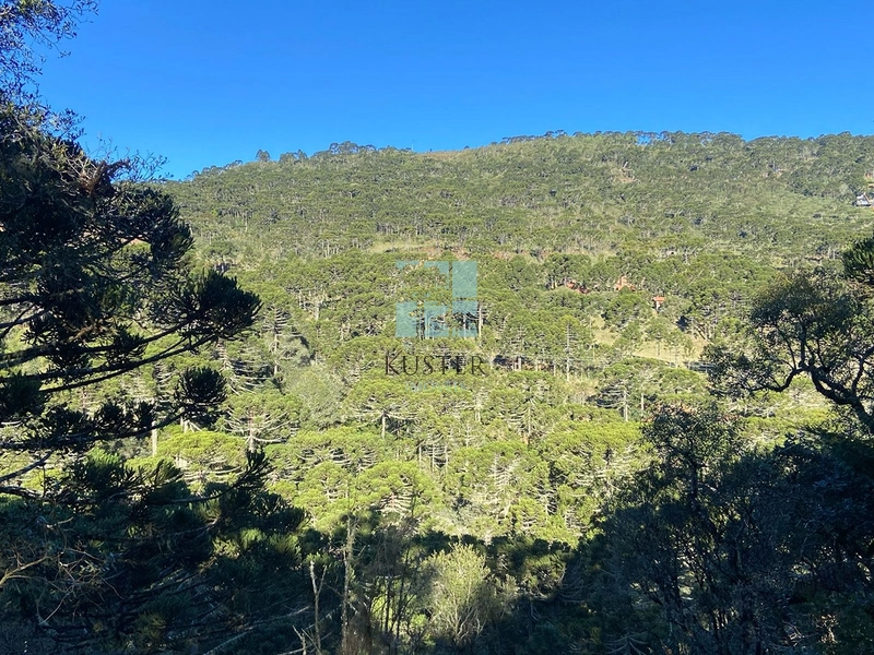 null: 17ª foto da galeria de imagens do imóvel