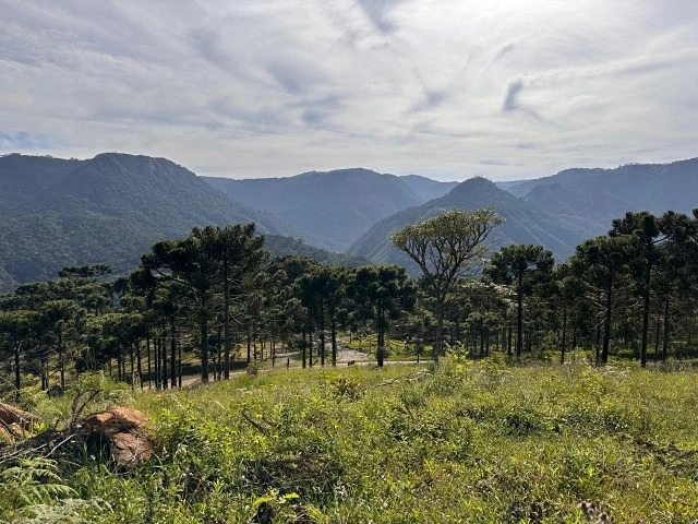 Bellíssima Vista para Montanhas: 5ª foto da galeria de imagens do imóvel