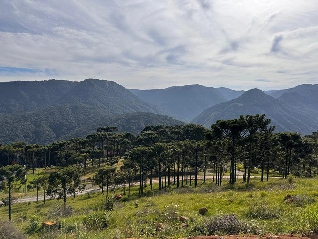 Bellíssima Vista para Montanhas: 2ª foto da galeria de imagens do imóvel