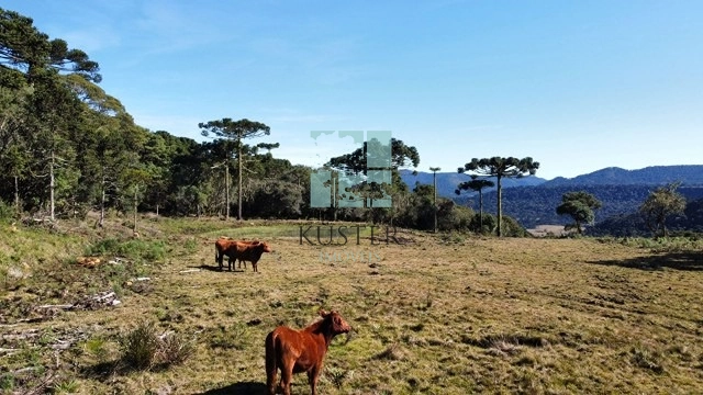 Terreno de Altittde: 1ª foto da galeria de imagens do imóvel
